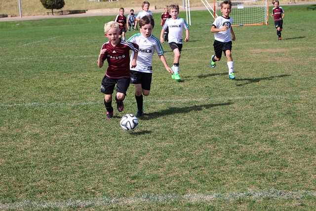 一个完美的 一个完美的