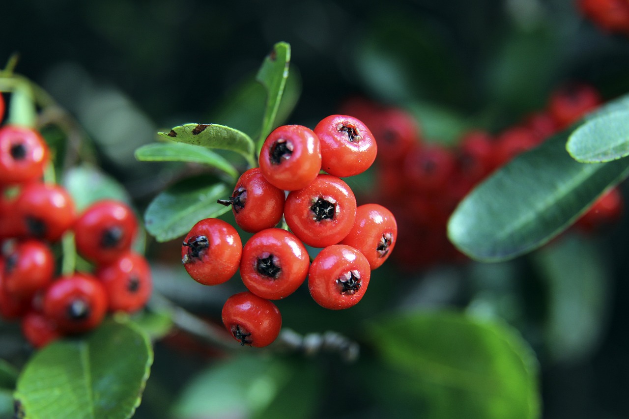 海南三亚上 海南三亚上