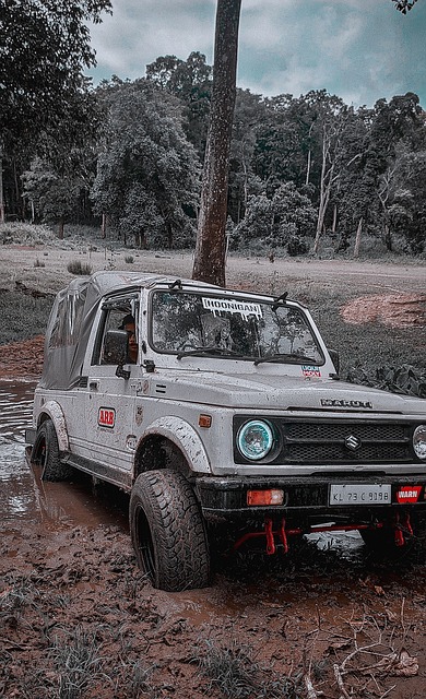 上海的夫妻 上海的夫妻