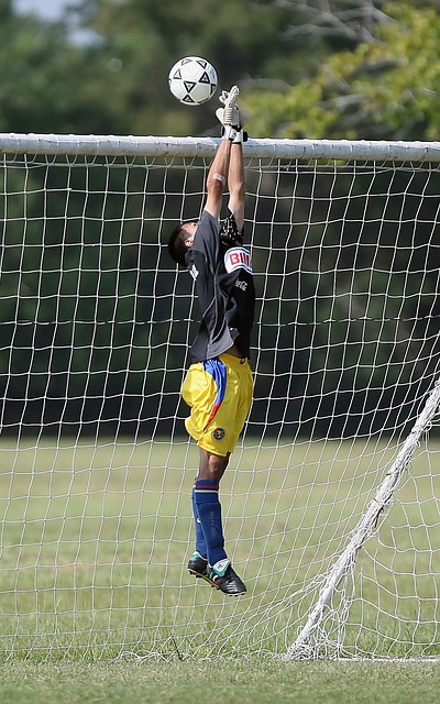 训练中引以 训练中引以